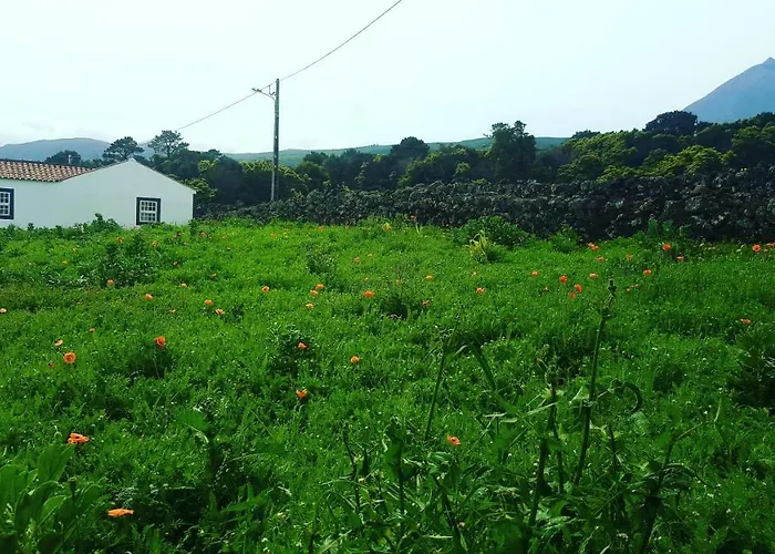 Casa Do Paim São Roque do Pico