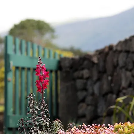 Casa Do Paim * São Roque do Pico