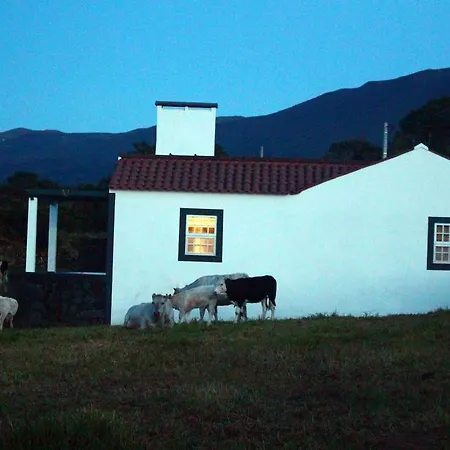 Vakantiehuis Casa Do Paim
