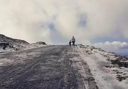 Casa Do Paim São Roque do Pico
