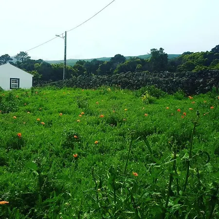 Casa Do Paim Sao Roque do Pico
