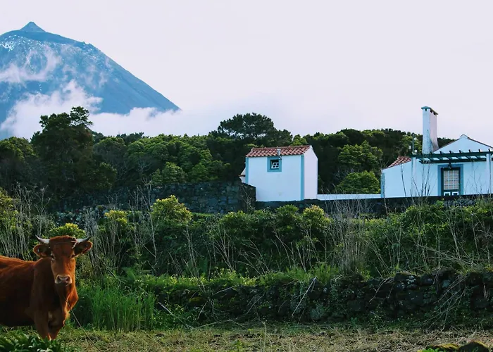 Casa Do Paim Holiday home *