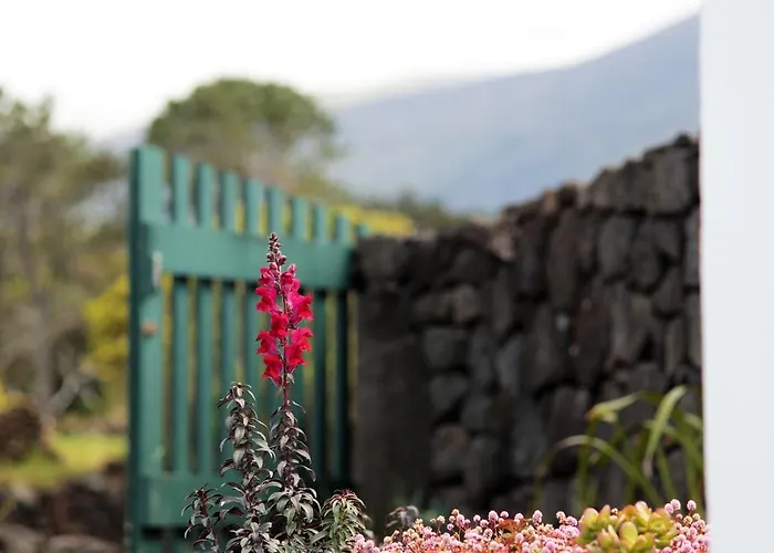 Casa Do Paim * Sao Roque do Pico