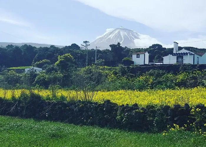 Holiday home Casa Do Paim *